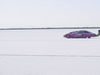 DSC00005_jpg.jpg