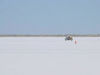 DSC00146_jpg.jpg