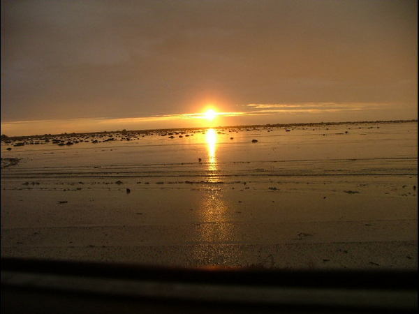 DSCF5504.jpg