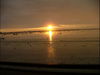 DSCF5504.jpg