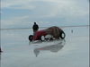 DSCF5543.jpg