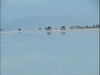 DSCF5549.jpg