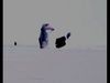 DSC_2858crop.jpg