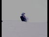 DSC_2862crop.jpg