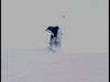 DSC_2868crop.jpg