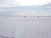 DSC00295.jpg
