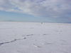 DSC00296.jpg