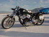 DSC00380.jpg