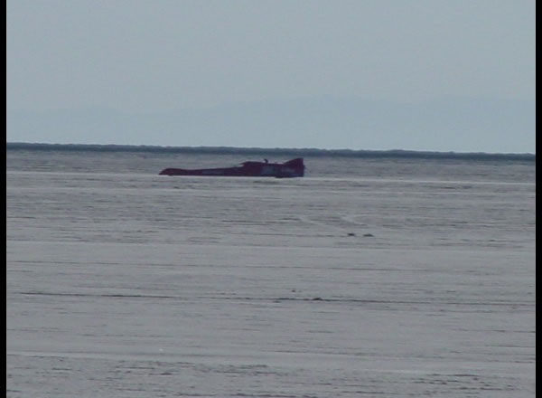 DSC00089_jpg.jpg
