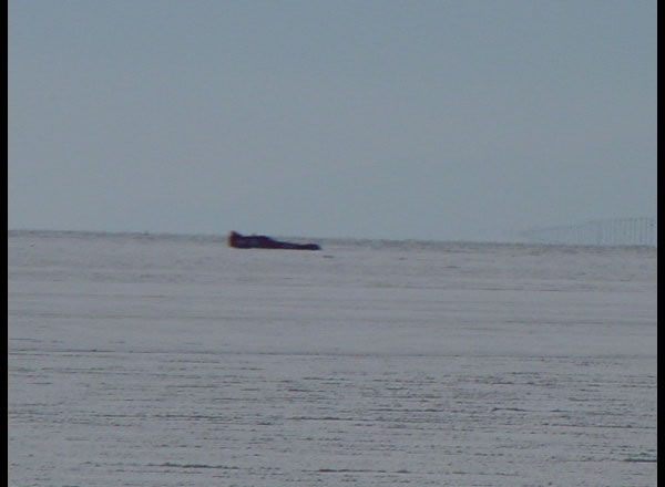 DSC00098_jpg.jpg