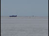 DSC00095_jpg.jpg
