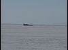 DSC00098_jpg.jpg
