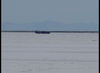 DSC00100_jpg.jpg