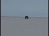 DSC00128_jpg.jpg
