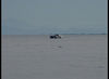 DSC00139_jpg.jpg