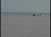 DSC00149_jpg.jpg