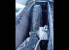Filename=DSC00056_jpg.jpg
Filesize=49KiB
Dimensions=600x440
Date added=Jan 21, 2007 DSC00056_jpg.jpg
