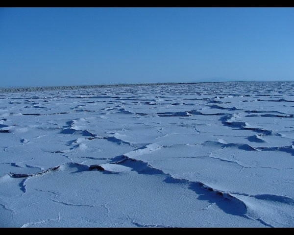 DSC00023_jpg.jpg