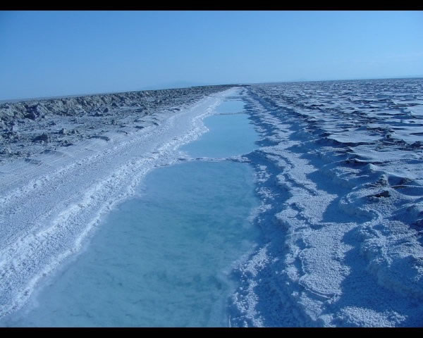 DSC00024_jpg.jpg