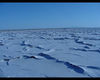 DSC00023_jpg.jpg