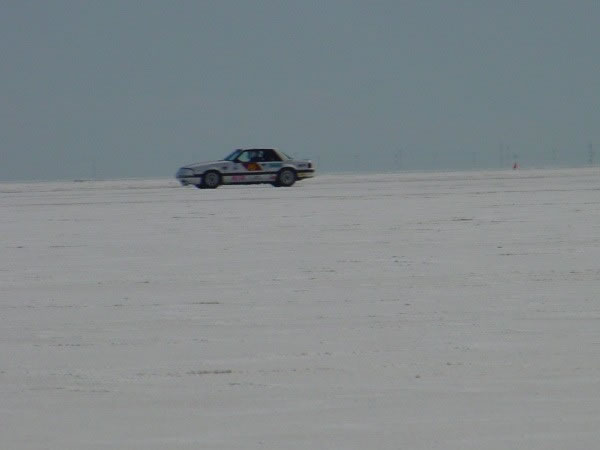 DSC00064_jpg.jpg