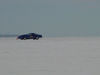 Filename=DSC00057_jpg.jpg
Filesize=14KiB
Dimensions=600x450
Date added=Jan 21, 2007 DSC00057_jpg.jpg