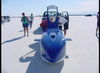 DSC00069_jpg.jpg