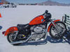 DSC00078_jpg.jpg