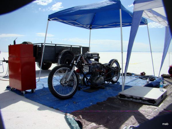 DSC08607_edited-1.jpg