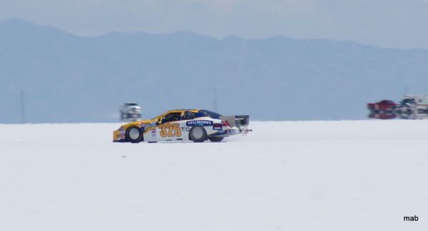 DSC09273.jpg
