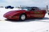 DSC00560_edited-1.jpg