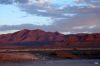 DSC01122_edited-1.jpg