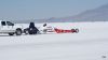 DSC09316.jpg