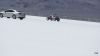 DSC09521.jpg