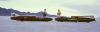 Bville-Vesco-Wirges-wp.jpg