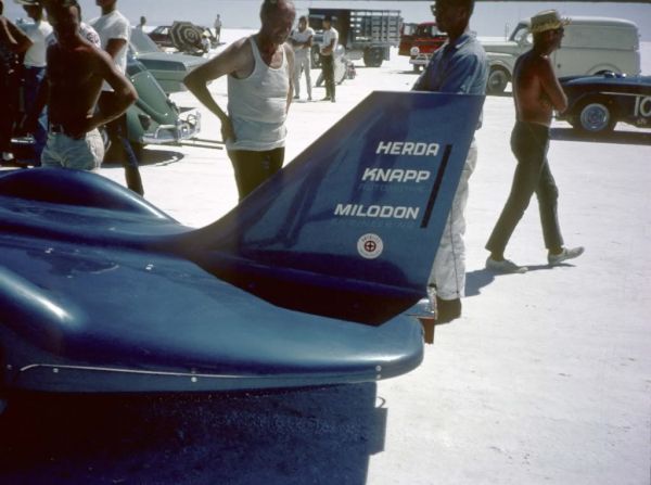 Herda9b.jpg