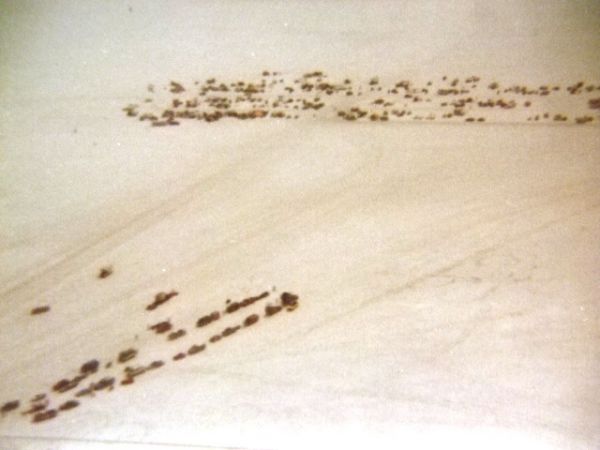 bville_1980_016.jpg