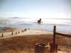 bville_1980_007.jpg