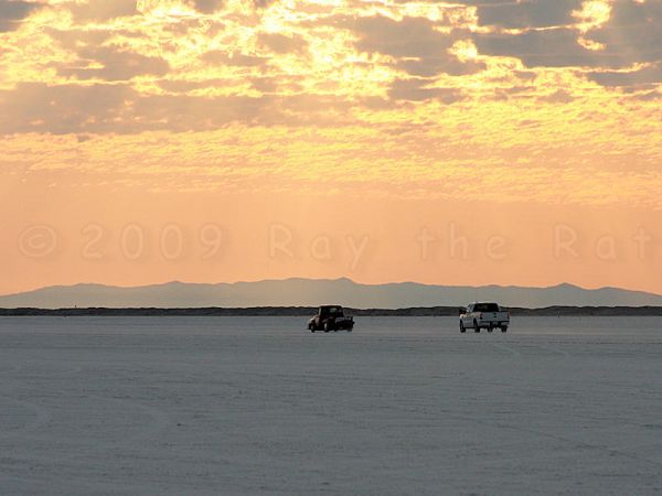 20090811_0040r8.jpg