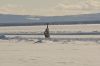 Filename=1DM35882.jpg
Filesize=104KiB
Dimensions=1024x683
Date added=Mar 30, 2013 1DM35882.jpg