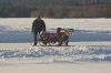 Filename=1DM35894.jpg
Filesize=133KiB
Dimensions=1024x683
Date added=Mar 30, 2013 1DM35894.jpg
