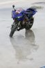 Filename=1DM34263.jpg
Filesize=168KiB
Dimensions=683x1024
Date added=Mar 30, 2013 1DM34263.jpg