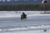 Filename=1DM34495.jpg
Filesize=182KiB
Dimensions=1024x683
Date added=Mar 30, 2013 1DM34495.jpg