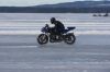 Filename=1DM34499.jpg
Filesize=157KiB
Dimensions=1024x683
Date added=Mar 30, 2013 1DM34499.jpg