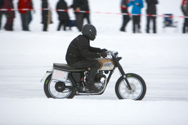 1DM36123.jpg