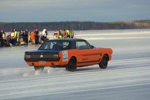 1DM33554.jpg
