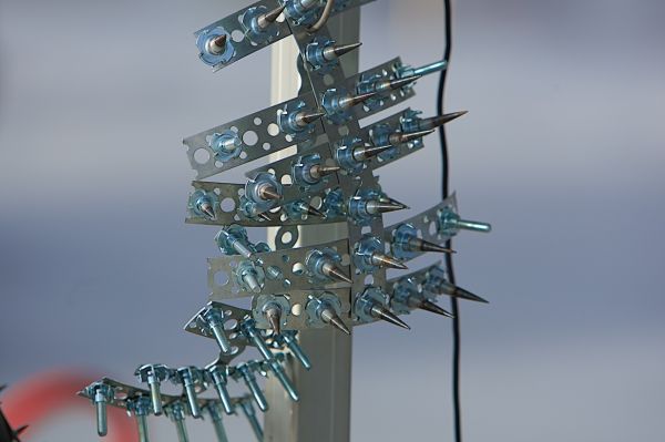 1DM33562.jpg