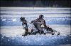 Filename=speedweekend2017_281429.jpg
Filesize=208KiB
Dimensions=900x600
Date added=Apr 30, 2017 speedweekend2017_281429.jpg