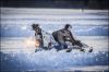 speedweekend2017_281829.jpg