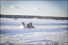 speedweekend2017_281929.jpg